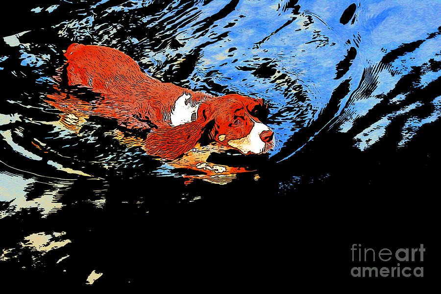 Sophie goes for a swim Digital Art by Chris  Taggart