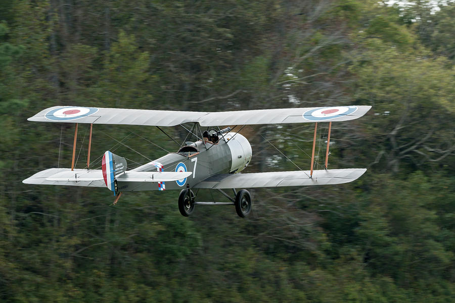 Sopwith 1 1/2 Stutter Takes to the Sky by Liza Eckardt Sopwith 1 1/2 Stutter Takes to the Sky by Liza Eckardt