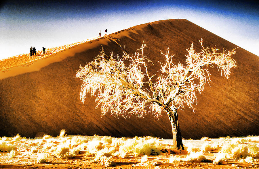 Sossusvlei Dune Photograph by Dennis Cox