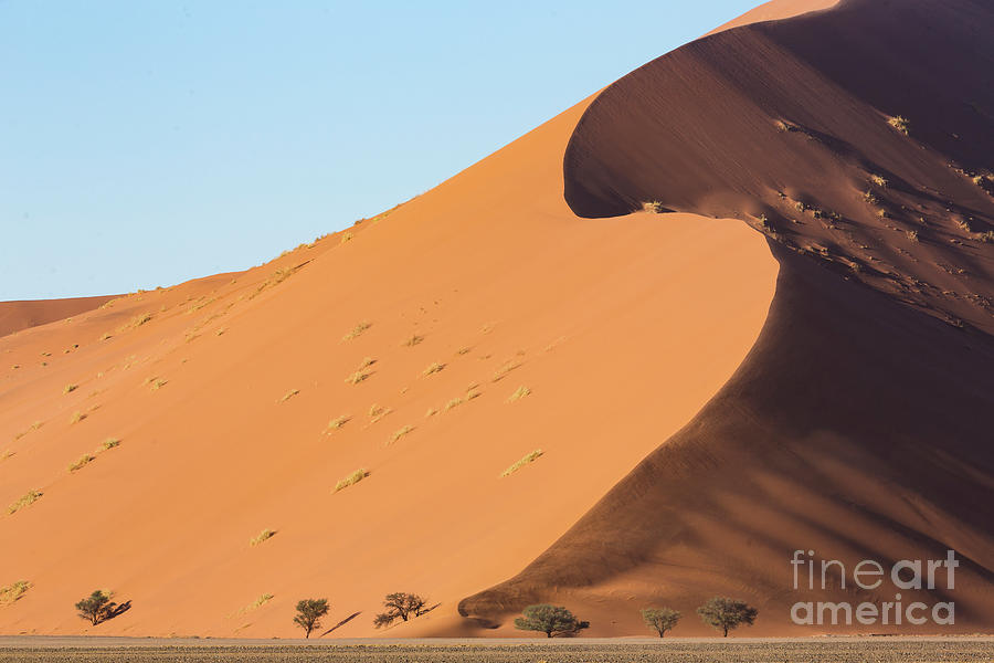 Sossusvlei Dunes #2 Photograph by Brenda Tharp - Fine Art America