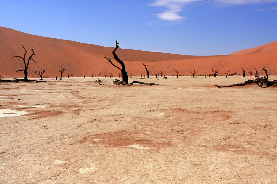 Sossusvlei, Namib Desert, Namibia Photograph by Aidan Moran