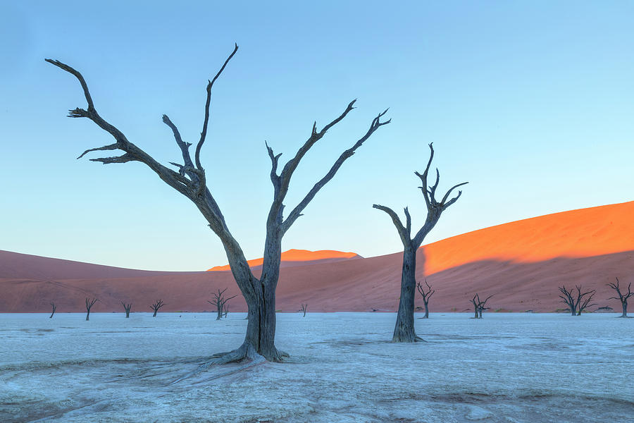 Sossusvlei - Namibia Photograph by Joana Kruse