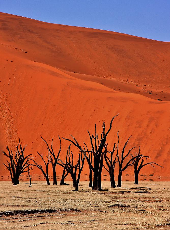 Desert Photograph - Sossusvlei Series- Deadvlei by Stacie Gary