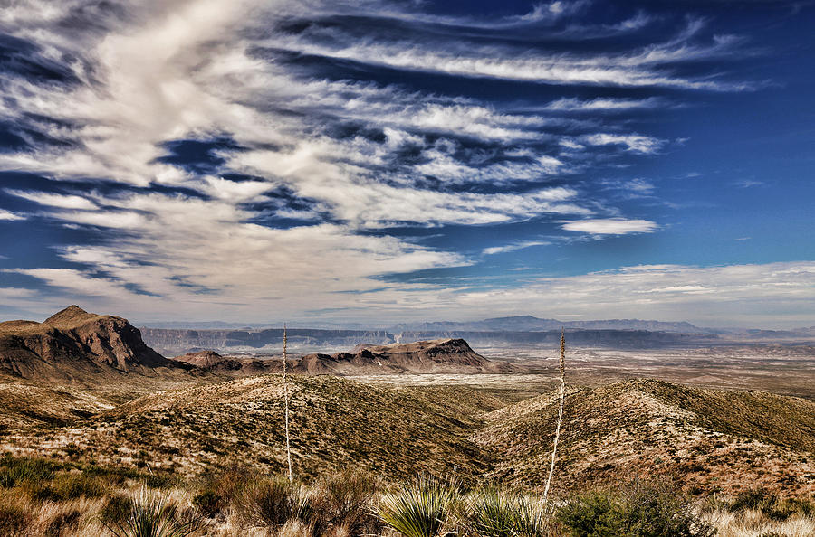 Desert Photograph - Sotol Vista 2 by Judy Vincent