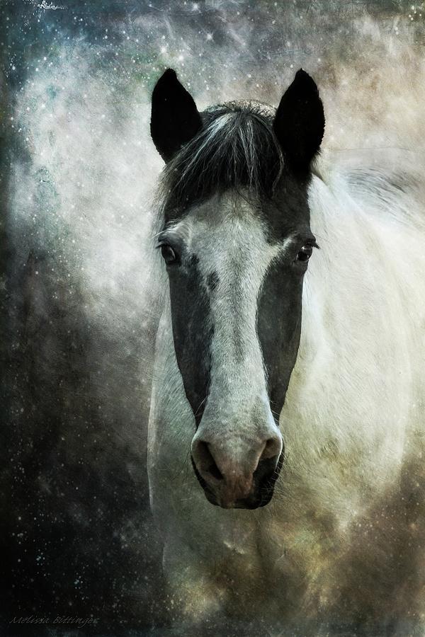 Soul Horse, Mystical Spiritual Horse Art Photograph by Melissa Bittinger