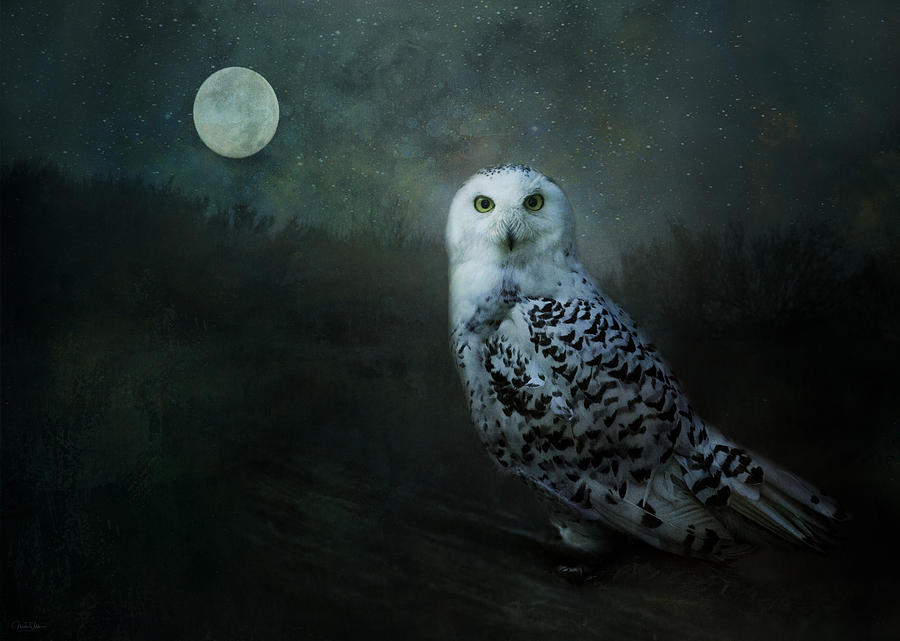 Soul of the Moon by Nicole Wilde Soul of the Moon by Nicole Wilde