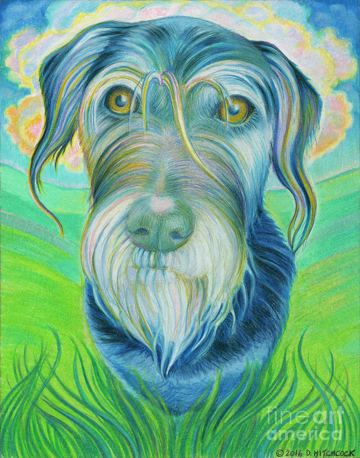 Soul Portrait of Digby Drawing by Debra Hitchcock