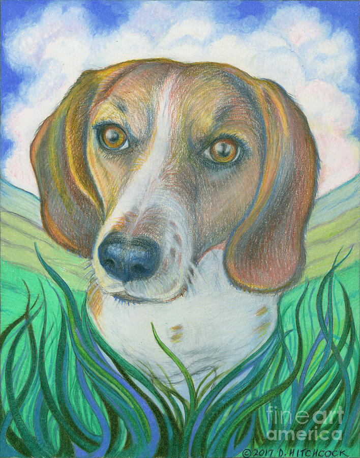 Soul Portrait of Kallie by Debra A Hitchcock Soul Portrait of Kallie by Debra A Hitchcock
