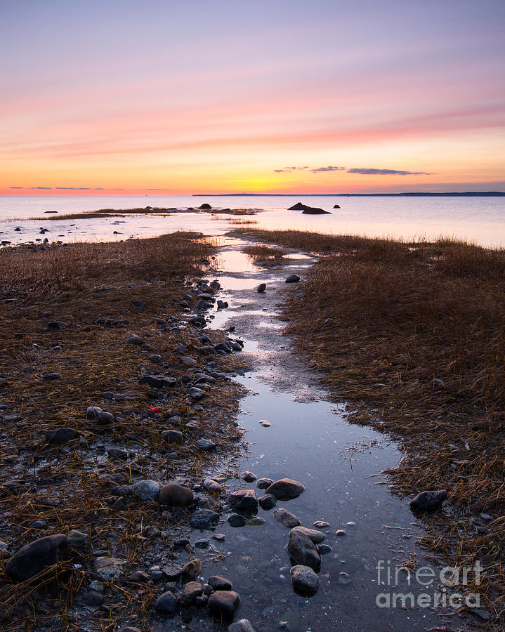 Sound Path - Connecticut Coast at Dawn Photograph by JG Coleman