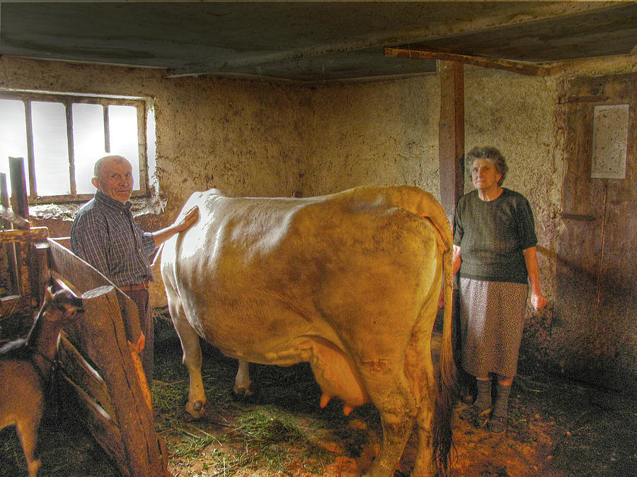 Source  of Milk in Gerovo Photograph by Don Wolf