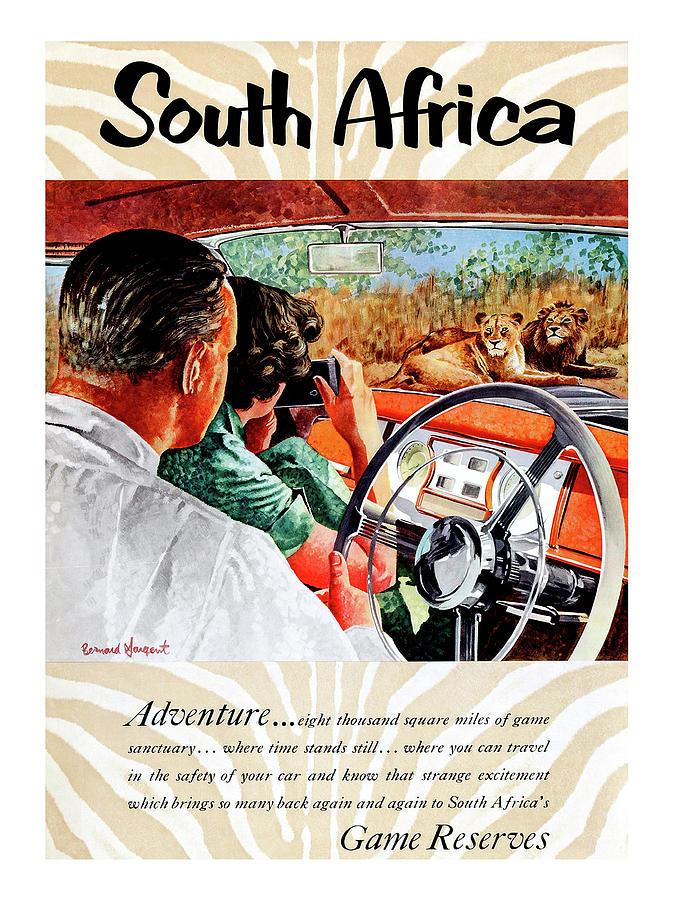 Lion Painting - South Africa, adventure inside car by Long Shot