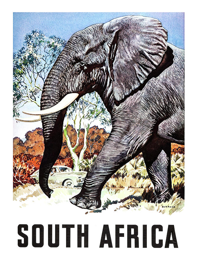 Vintage Painting - South Africa, Elephant safari by Long Shot