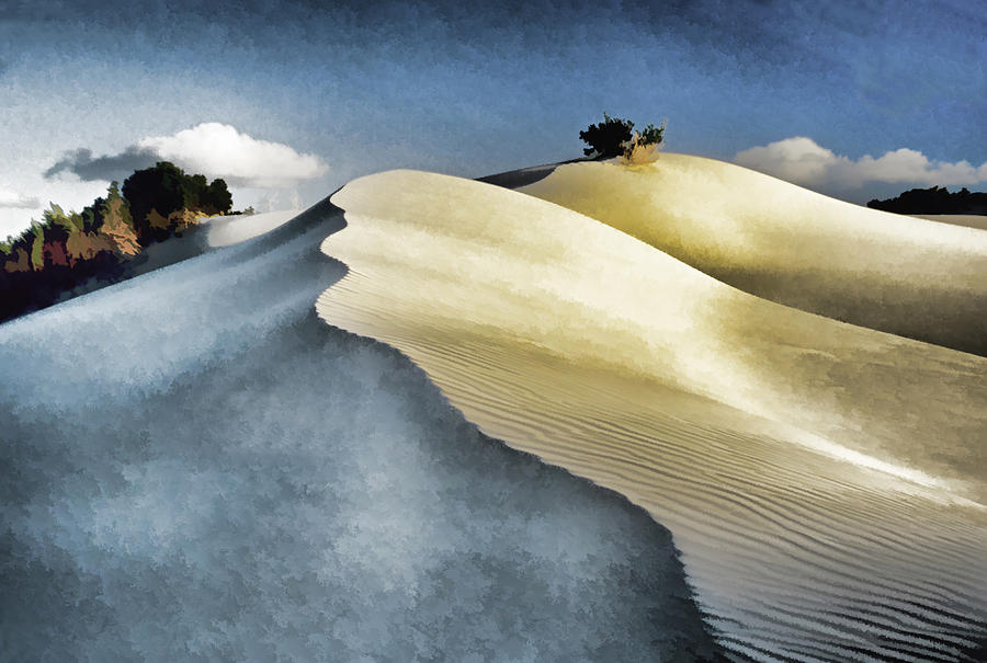 South African Dunes Photograph by Dennis Cox