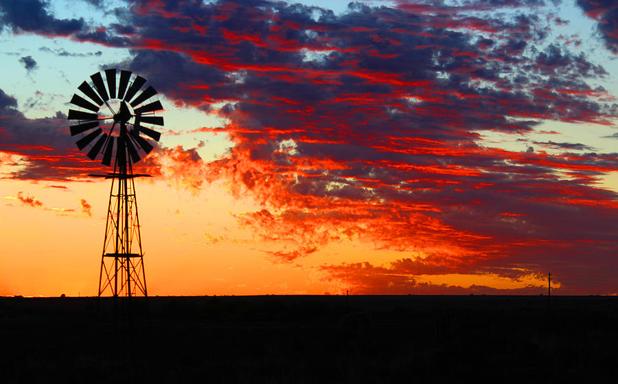 Фото south african sun фото