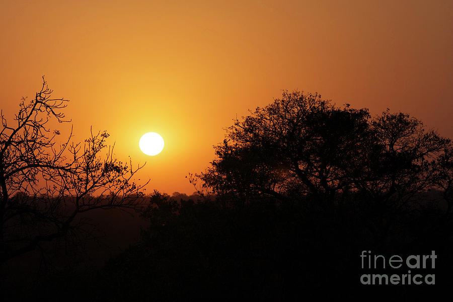  South African Sunset Photograph by Brad Racette - Pixels