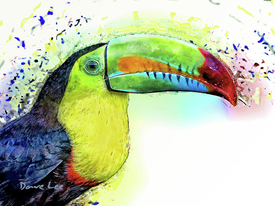 South Americas Toco Toucan Mixed Media by Dave Lee