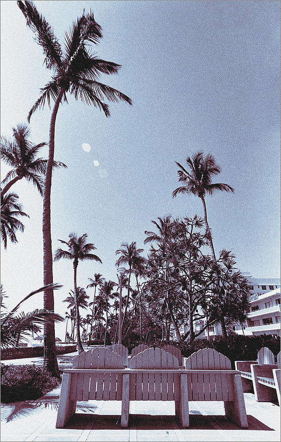 Miami Photograph - South Beach Miami Palm Chairs Tropical Art Deco - Blue by Steven Hlavac