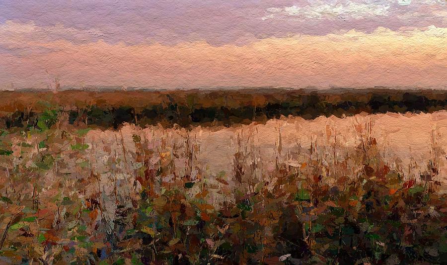 South Carolina evening marsh Digital Art by Anthony Fishburne