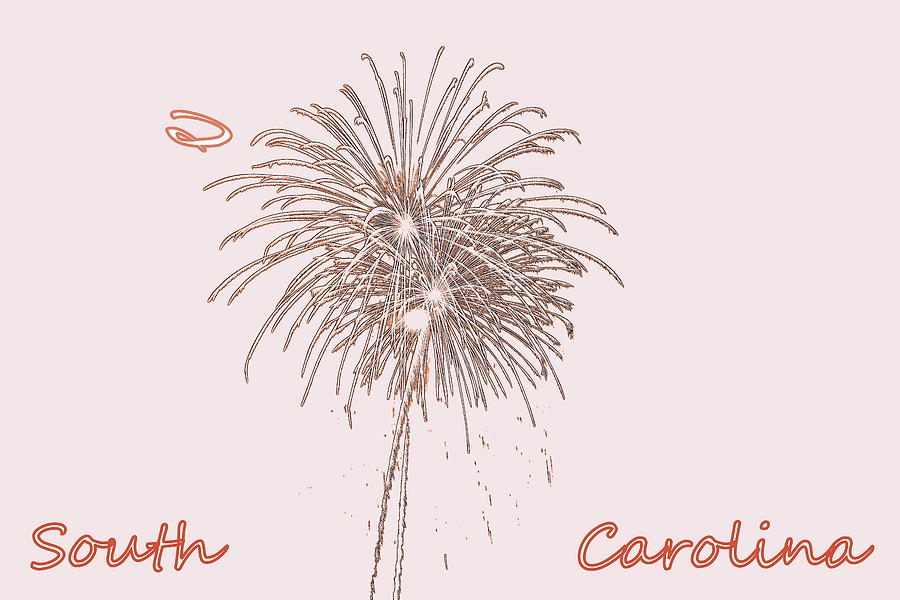 South Carolina Photograph - South Carolina Fireworks by Lisa Wooten