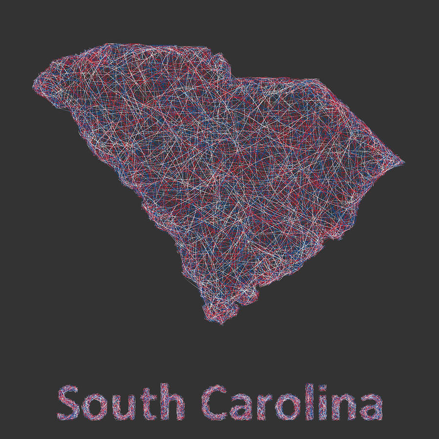 South Carolina Map Digital Art - South Carolina map by David Zydd