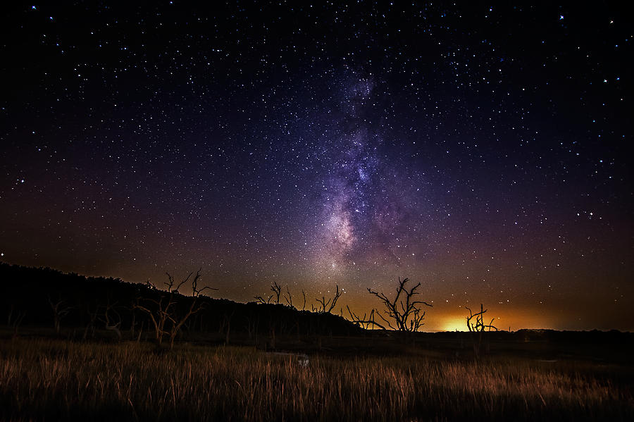 South Carolina Milky Way Photograph by Mark Andrew Thomas