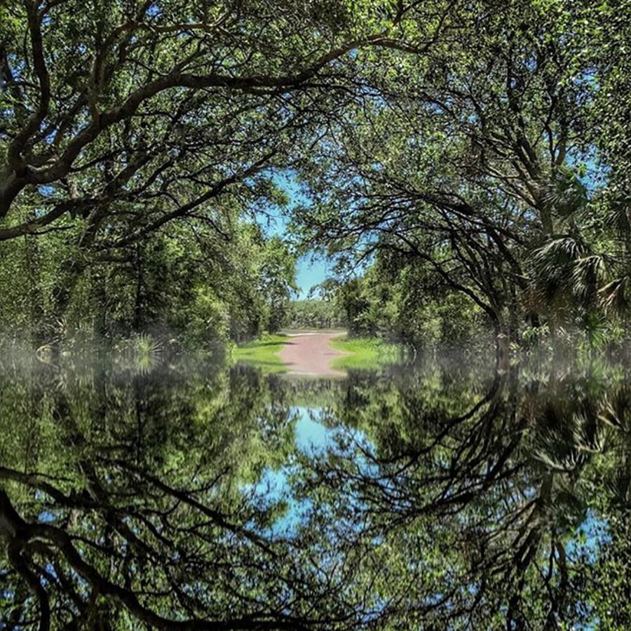 Nature Photograph - South Carolina 
#southcarolina by Blake Butler