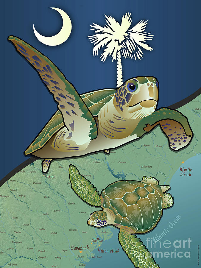 South Carolina Sea Turtles Digital Art by Joe Barsin