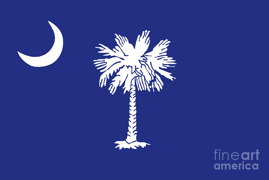 South Carolina State Flag Digital Art By Bigalbaloo Stock Fine Art