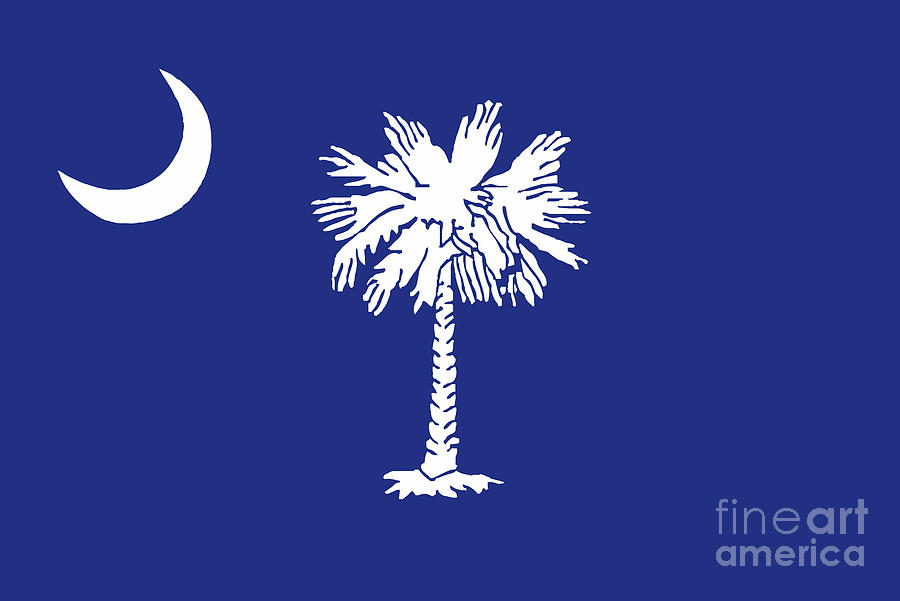 South Carolina State Flag Digital Art by Bigalbaloo Stock - Fine Art ...