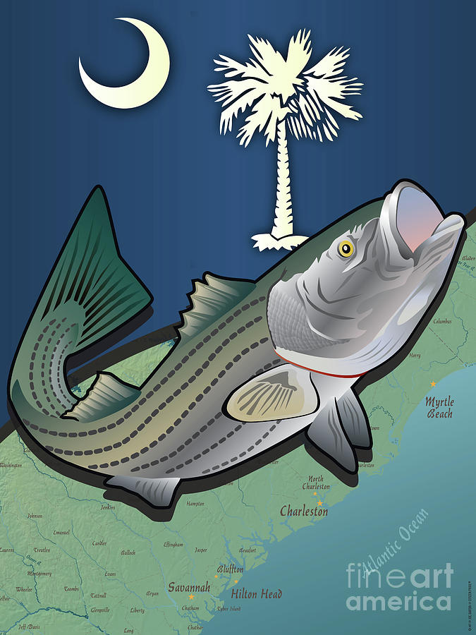 South Carolina Striped Bass Digital Art by Joe Barsin