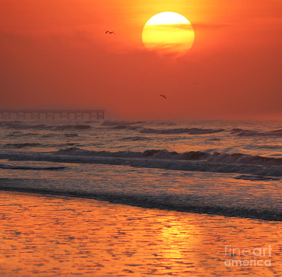 South Carolina Sunrise  3279 Photograph by Jack Schultz