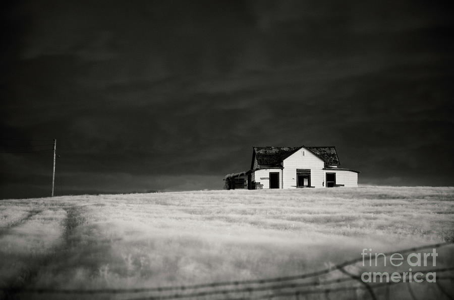 South Dakota Abandon Photograph