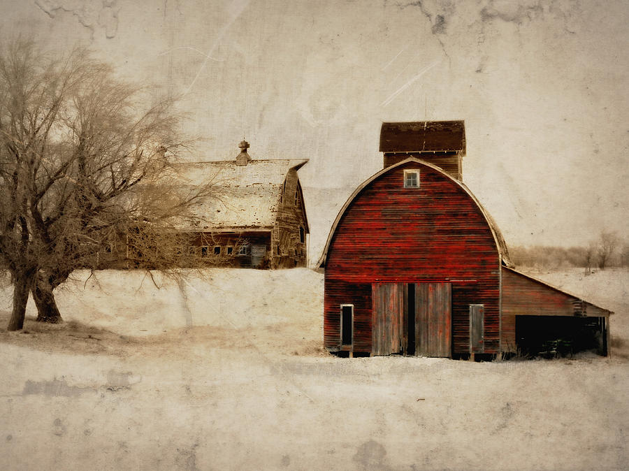 Winter Photograph - South Dakota Corn Crib by Julie Hamilton