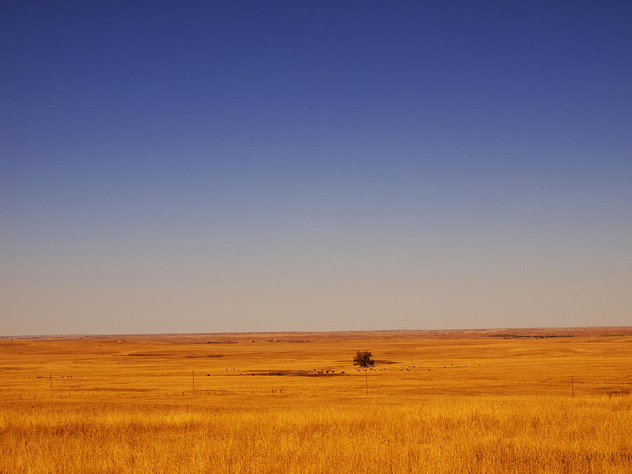 South Dakota Grasslands Photograph by Mary Capriole
