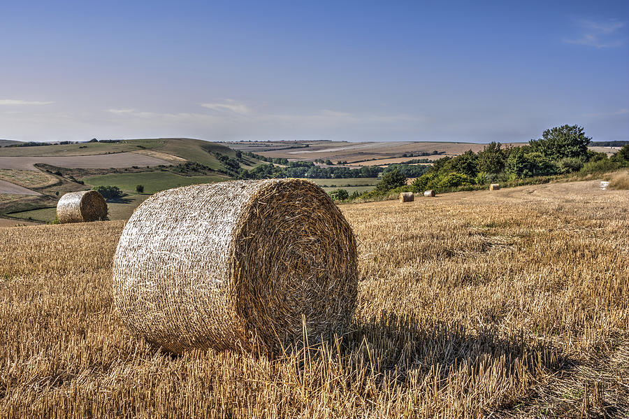 South Downs Harvest Photograph by Hazy Apple