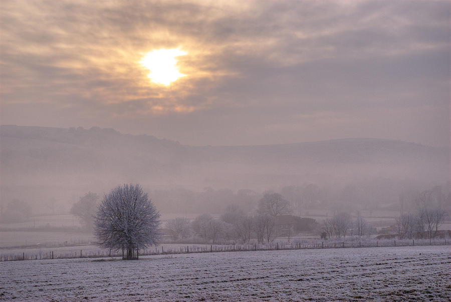 Winter Photograph - South Downs Hoar Frost by Hazy Apple