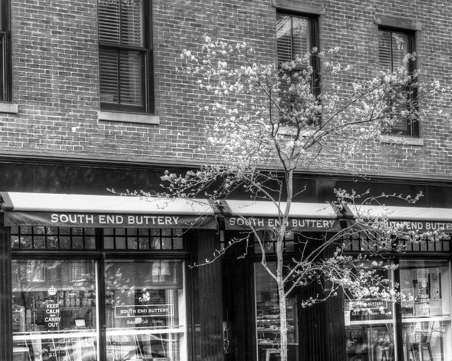 South End Buttery at Spring South End Boston MA Black and White Photograph by Toby McGuire