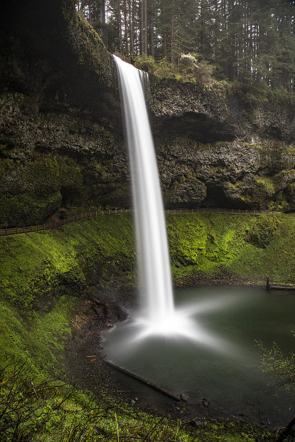 South falls in Silver Falls State Park Photograph by John McGraw