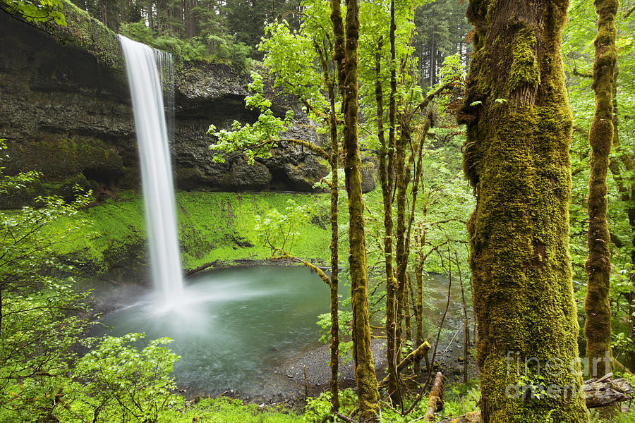 Nature Photograph - South Falls in the Silver Falls State Park, Oregon, USA by Sara Winter