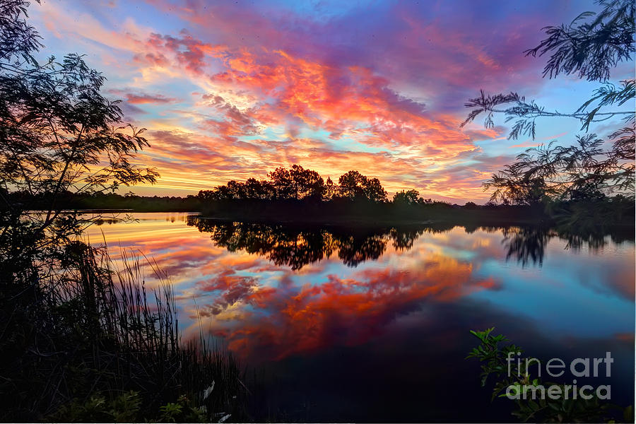Nature Photograph - South Florida Sunrise by Rick Mann