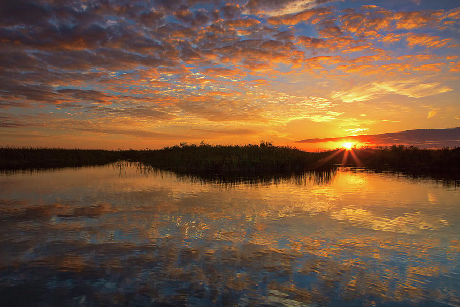 South Florida Wetland Sunset Photograph by Juergen Roth