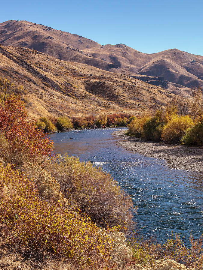 South Fork in Autumn Photograph by Mark Mille