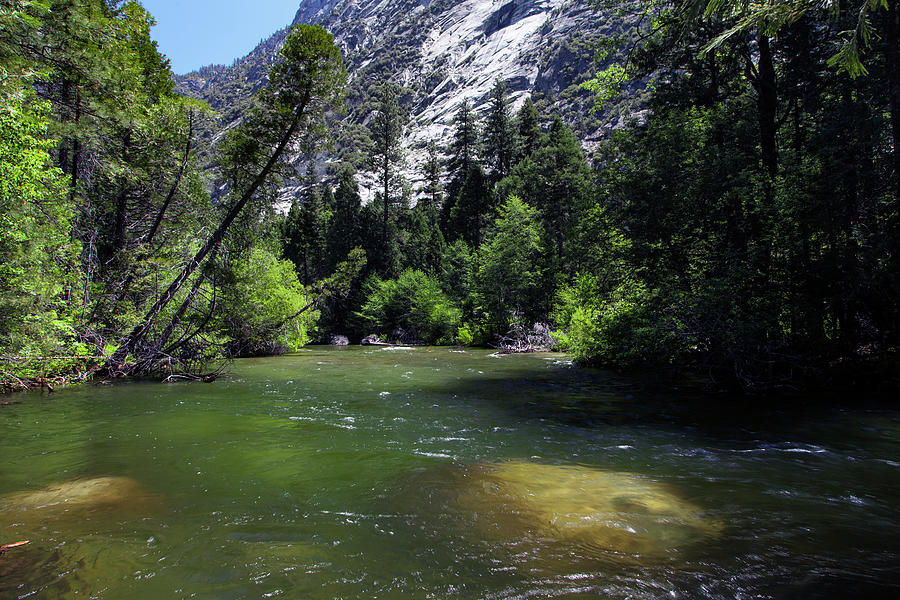 South Fork of the Kings River in Paradise Canyon Photograph by Rick Pisio