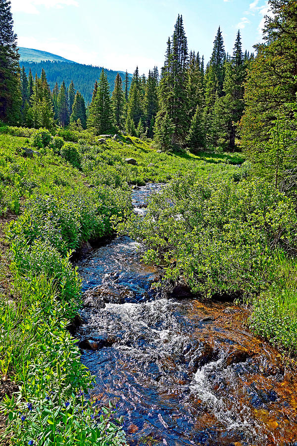 South Fork Ranch Creek Colorado Photograph by Robert Meyers-Lussier