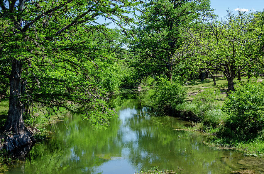 South Grape Creek - Texas Hill Country Photograph by Debra Martz