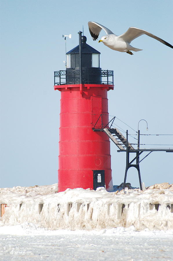 South Haven Pierhead Light and Gull Photograph by Michael Peychich