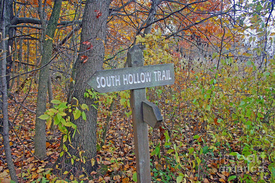 Fall Photograph - South Hollow Trail by Kay Novy