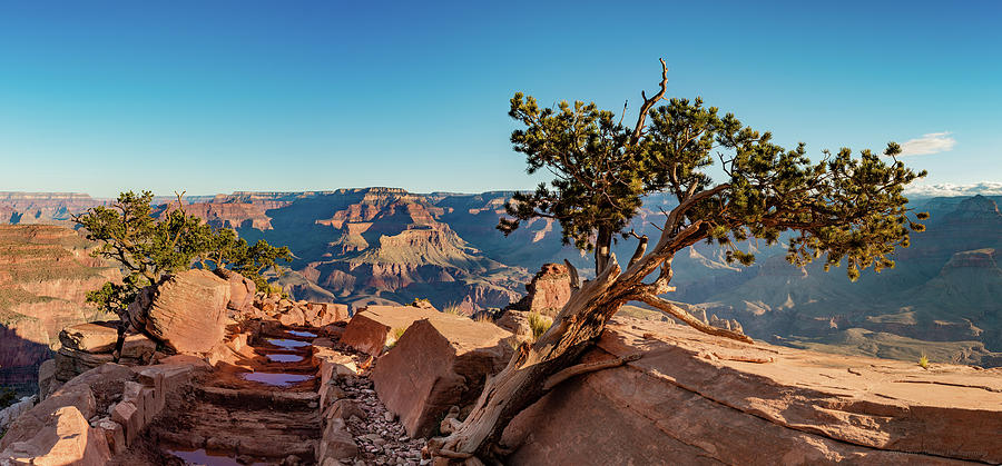 South Kaibab Grand Canyon Photograph by Phil Abrams