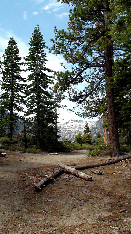 South Lake Tahoe Mountain Trail Photograph by LeeAnn McLaneGoetz McLaneGoetzStudioLLCcom