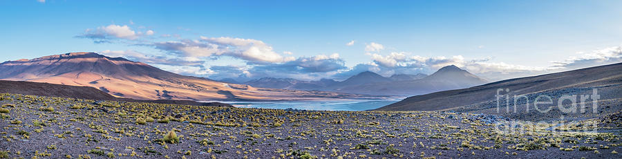 South Lipez - Bolivia Photograph by Olivier Steiner